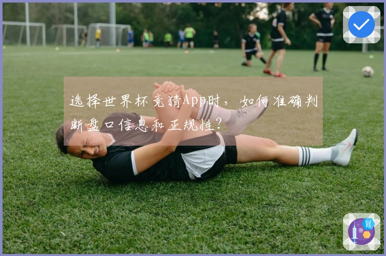 选择世界杯竞猜App时，如何准确判断盘口信息和正规性？