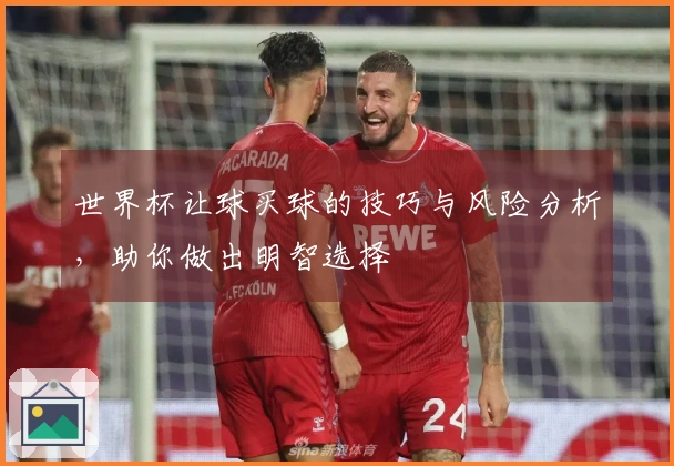 世界杯让球买球的技巧与风险分析，助你做出明智选择