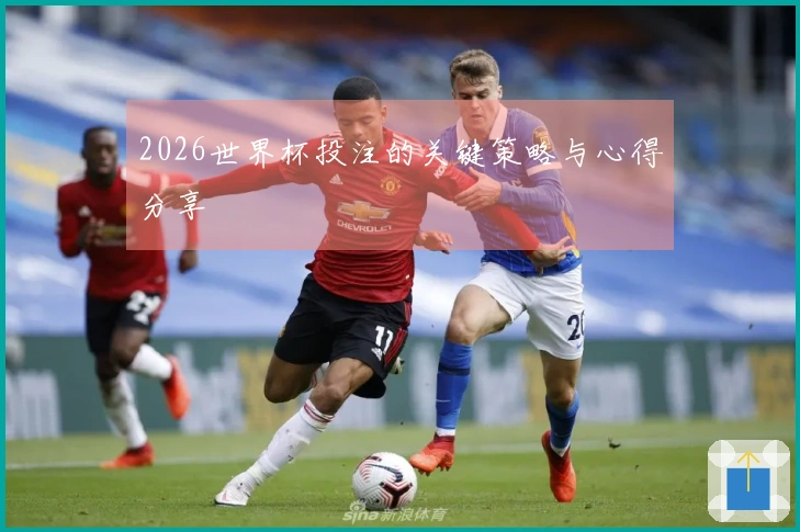 2026世界杯投注的关键策略与心得分享