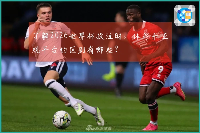 了解2026世界杯投注时，体彩和正规平台的区别有哪些？
