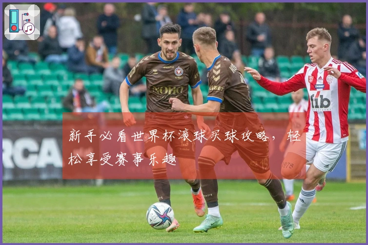 新手必看世界杯滚球买球攻略，轻松享受赛事乐趣