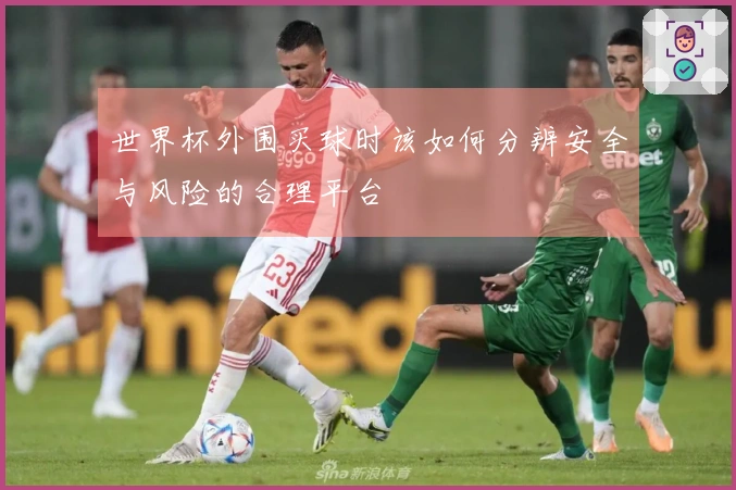 世界杯外围买球时该如何分辨安全与风险的合理平台