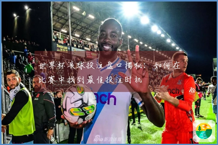 世界杯滚球投注盘口揭秘：如何在比赛中找到最佳投注时机