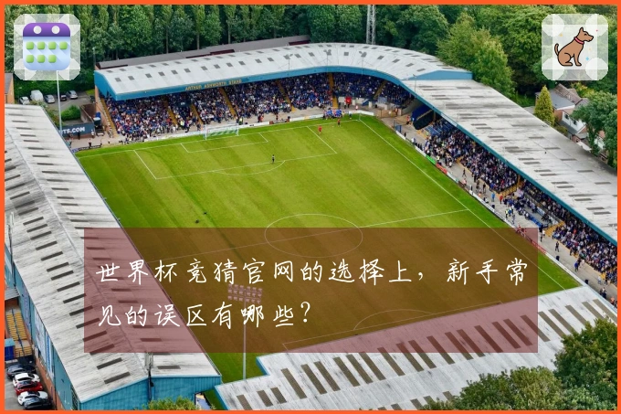 世界杯竞猜官网的选择上，新手常见的误区有哪些？